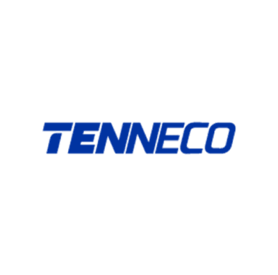 TENNECO CLEAN AIR INDIA L Share Price